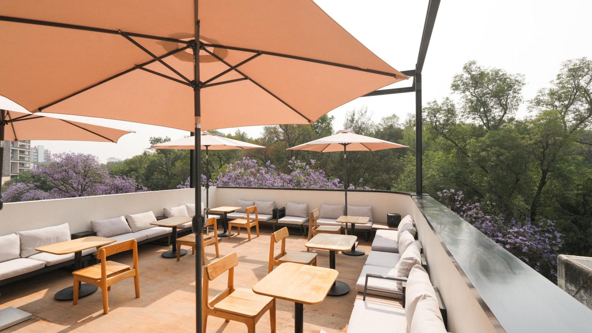 Rodona Hotel Mexico City Exteriör bild